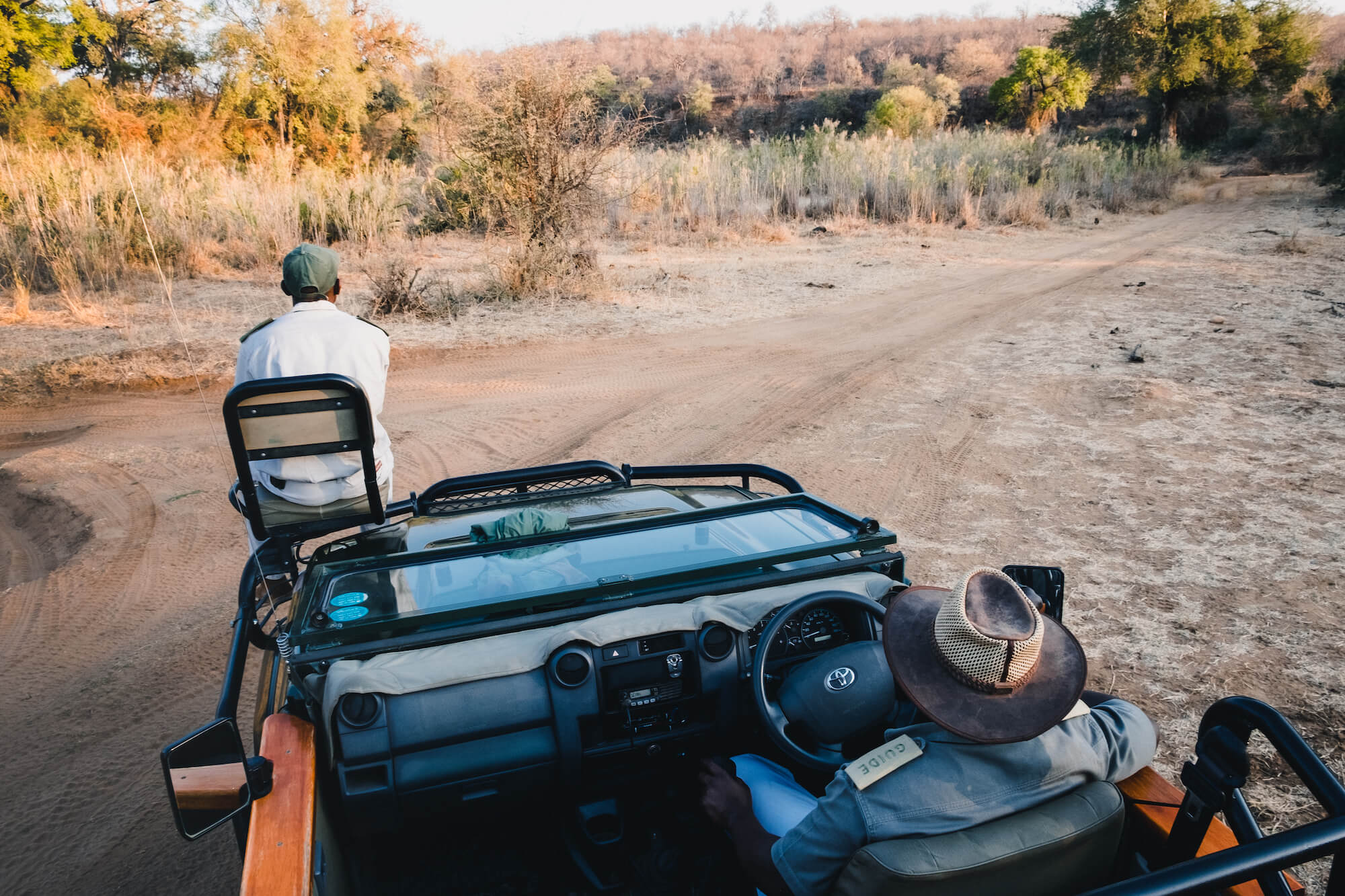 safari in south africa